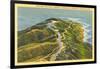 Overview of Point Loma-null-Framed Art Print