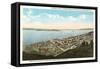 Overview of Presidio Heights, San Francisco, California-null-Framed Stretched Canvas