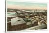 Overview of Richmond, Virginia-null-Stretched Canvas