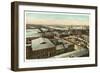 Overview of Richmond, Virginia-null-Framed Art Print