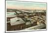 Overview of Richmond, Virginia-null-Mounted Art Print