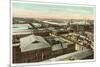 Overview of Richmond, Virginia-null-Mounted Premium Giclee Print