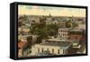 Overview of San Antonio, Texas-null-Framed Stretched Canvas