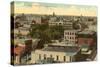 Overview of San Antonio, Texas-null-Stretched Canvas