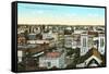 Overview of San Antonio, Texas-null-Framed Stretched Canvas