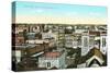 Overview of San Antonio, Texas-null-Stretched Canvas