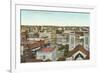 Overview of San Antonio-null-Framed Art Print