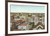 Overview of San Antonio-null-Framed Art Print