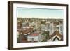 Overview of San Antonio-null-Framed Art Print