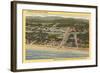 Overview of Seaside-null-Framed Art Print