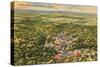 Overview of Siloam Springs, Arkansas-null-Stretched Canvas