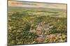 Overview of Siloam Springs, Arkansas-null-Mounted Art Print