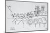 Overview of the city, Nantes, France-Richard Lawrence-Mounted Photographic Print