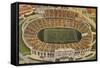 Overview of the Cotton Bowl, Dallas-null-Framed Stretched Canvas