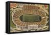 Overview of the Cotton Bowl, Dallas-null-Framed Stretched Canvas