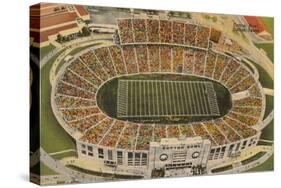 Overview of the Cotton Bowl, Dallas-null-Stretched Canvas