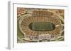 Overview of the Cotton Bowl, Dallas-null-Framed Premium Giclee Print