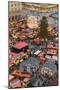 Overview of the Dresden Strietzelmarkt Christmas Market, Dresden, Saxony, Germany, Europe-Miles Ertman-Mounted Photographic Print