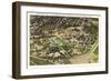 Overview of University of Washington-null-Framed Art Print