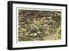 Overview of University of Washington-null-Framed Art Print