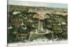 Overview of Versailles, France-null-Stretched Canvas