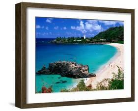 Overview of Waimea Bay on the North Shore, Waimea, U.S.A.-Ann Cecil-Framed Premium Photographic Print