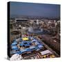 Overview of World Fair Area-null-Stretched Canvas