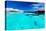 Overwater Bungallows in Blue Lagoon around Tropical Island-Martin Valigursky-Stretched Canvas