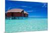 Overwater Bungalow in Blue Lagoon around Tropical Island-Martin Valigursky-Mounted Photographic Print