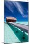 Overwater Bungalow in Blue Lagoon around Tropical Island-Martin Valigursky-Mounted Photographic Print