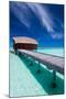 Overwater Bungalow in Blue Lagoon around Tropical Island-Martin Valigursky-Mounted Photographic Print