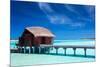 Overwater Villas in Blue Lagoon of a Tropical Island-Martin Valigursky-Mounted Photographic Print