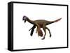 Oviraptor Dinosaur-null-Framed Stretched Canvas