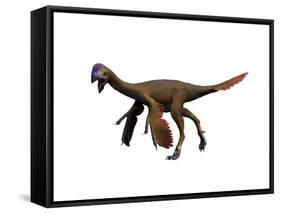 Oviraptor Dinosaur-null-Framed Stretched Canvas