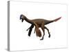 Oviraptor Dinosaur-null-Stretched Canvas
