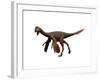 Oviraptor Dinosaur-null-Framed Art Print