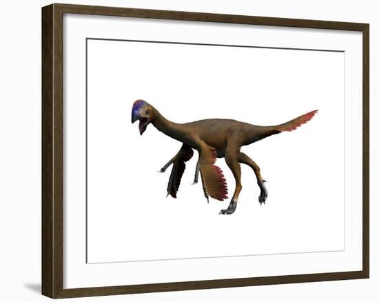 Oviraptor Dinosaur-null-Framed Art Print