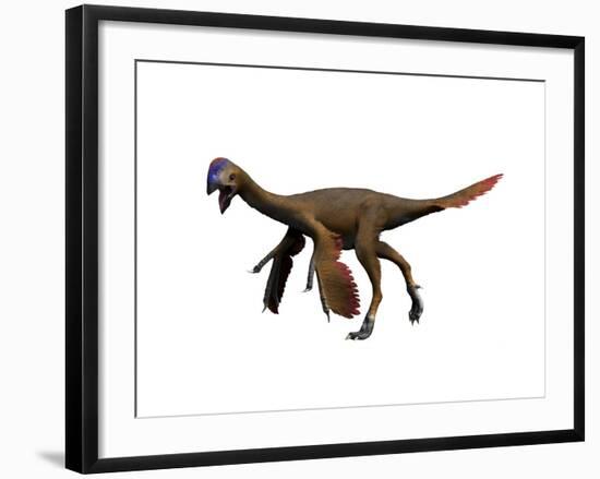 Oviraptor Dinosaur-null-Framed Art Print
