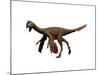 Oviraptor Dinosaur-null-Mounted Art Print