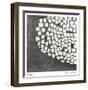 Ovoid Left-Lynn Basa-Framed Limited Edition