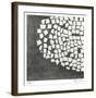 Ovoid Left-Lynn Basa-Framed Limited Edition