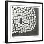 Ovoid Right-Lynn Basa-Framed Limited Edition