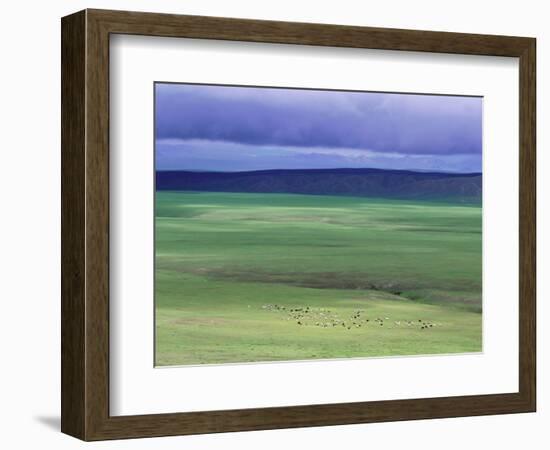 Ovorkhangai Province, Mongolia, Asia-Bruno Morandi-Framed Photographic Print