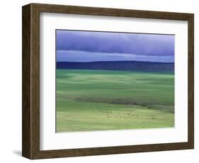 Ovorkhangai Province, Mongolia, Asia-Bruno Morandi-Framed Photographic Print