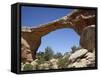 Owachomo Natural Bridge, Natural Bridges National Monument, Utah, USA-James Hager-Framed Stretched Canvas