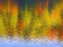 Fall Trees Reflected in Lake-Owaki-Mounted Photographic Print