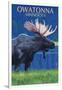 Owatonna, Minnesota - Moose at Night-Lantern Press-Framed Art Print