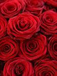 Bouquet of Red Roses-Owen Franken-Photographic Print