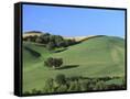 Canvas Black