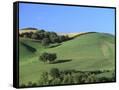Canvas Black